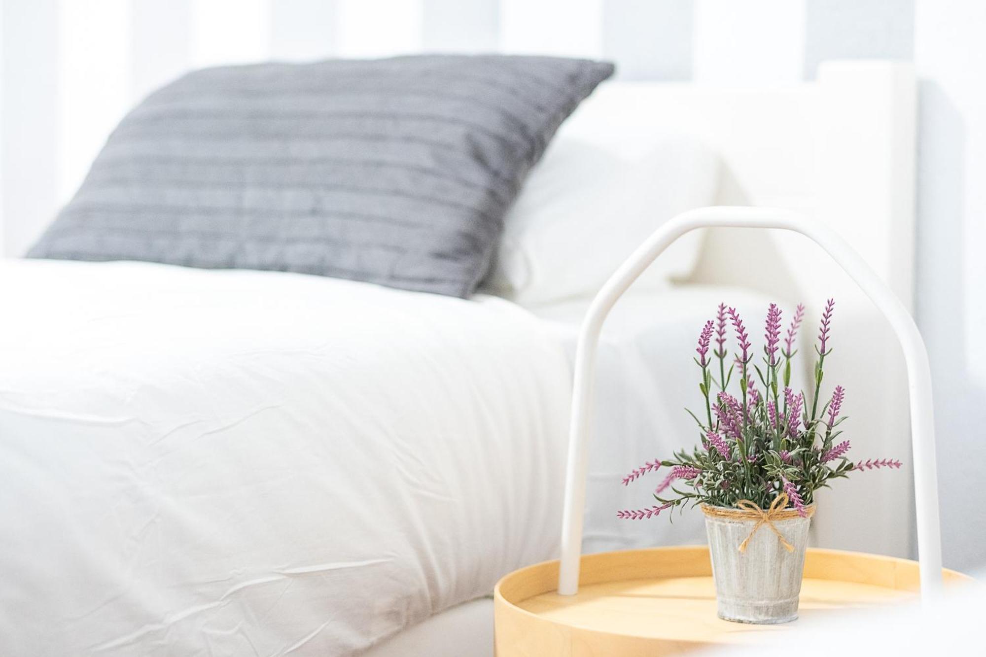 Apartamento New Folch Sevilla A Zewnętrze zdjęcie